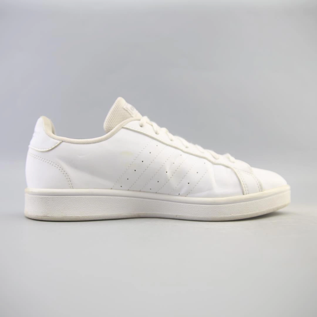 Frye Logan Brogue ADIDAS GRAND COURT BASE