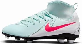 Sb Nike Skate Shoes Nike Boy's Gymnastics Shoes Oxford Flat