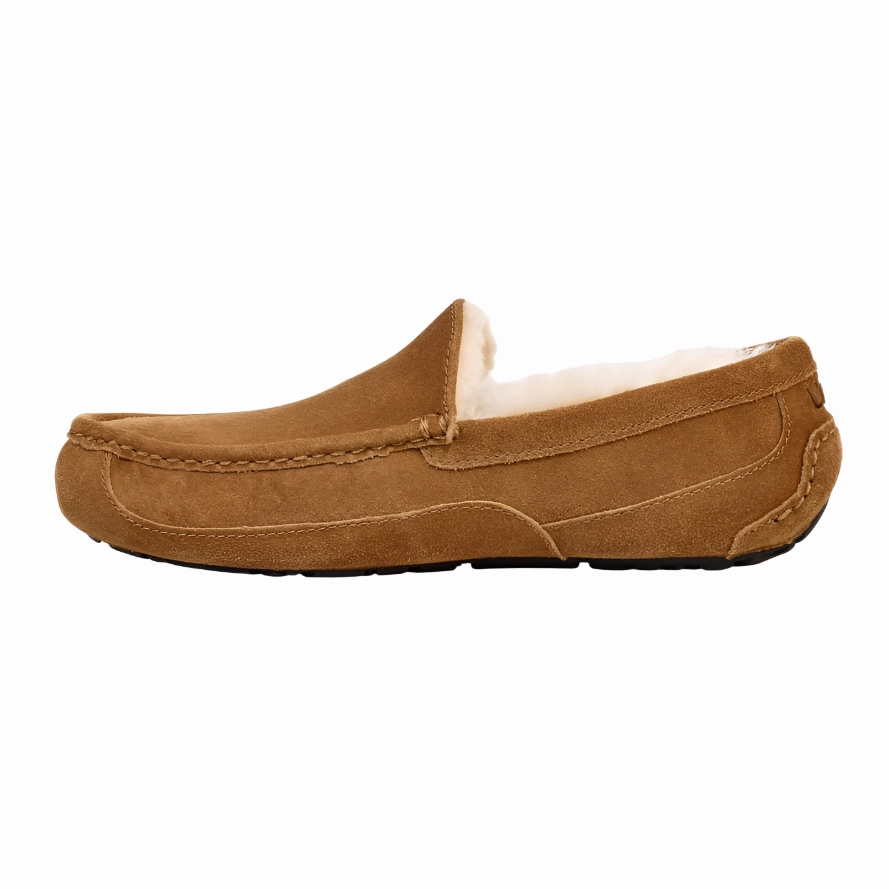 Ugg Mens Slipper Ascot Chestnut Toms.slippers