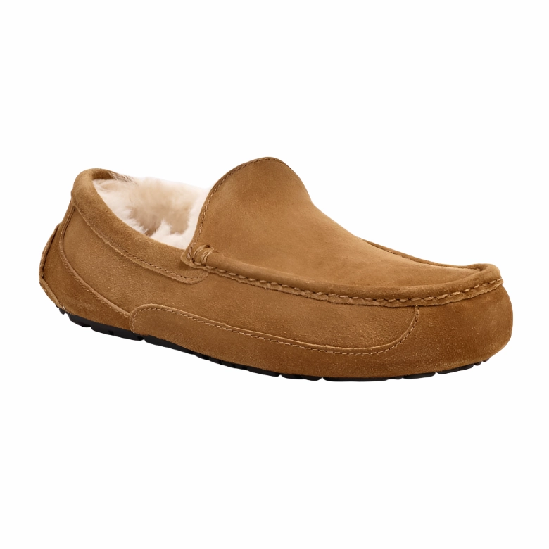 Sonic House Slippers Ugg Mens Slipper Ascot Chestnut