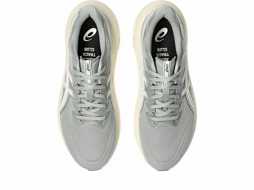 Asics Mens GT-2000 13 ATC - Seal Grey/Birch (1011C026-020) Asics Gel Quantum Infinity Running Shoes