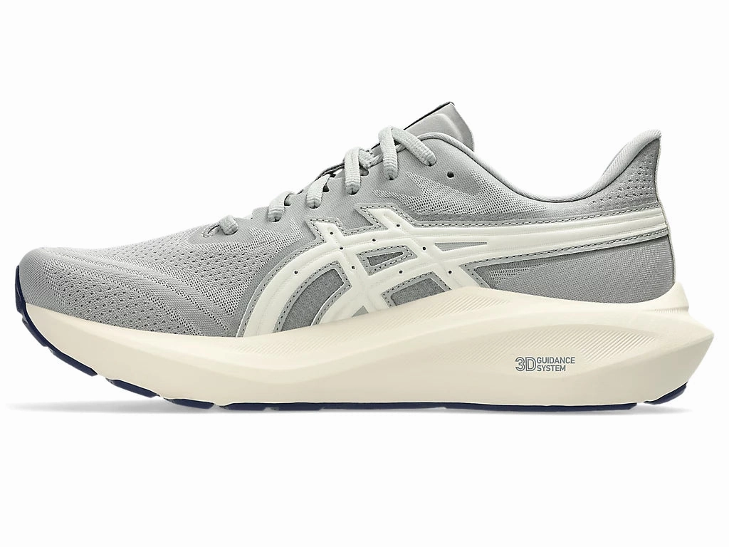Asics Mens GT-2000 13 ATC - Seal Grey/Birch (1011C026-020) Tiger Shoes Asics