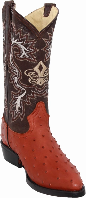 Western Shops Mens Leather Ostrich Quill Print Western Cowboy Boots Tevos Boots