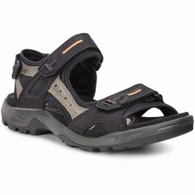 Trail Running Super Shoes ECCO YUCATAN MEN BLACK - 06956450034