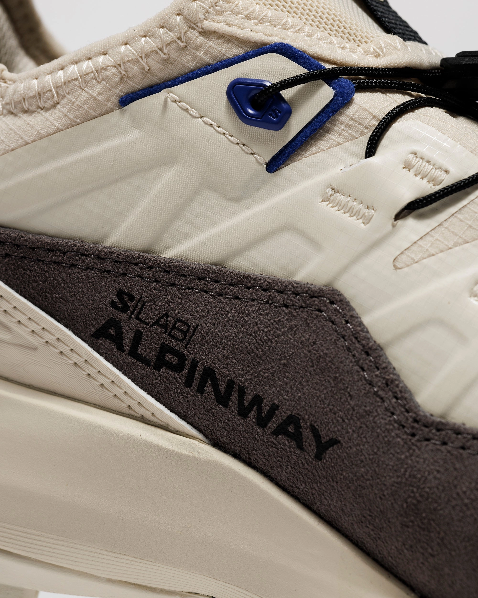 SALOMON ALPINWAY ADVANCED Trail And Road Hybrid Running Shoes