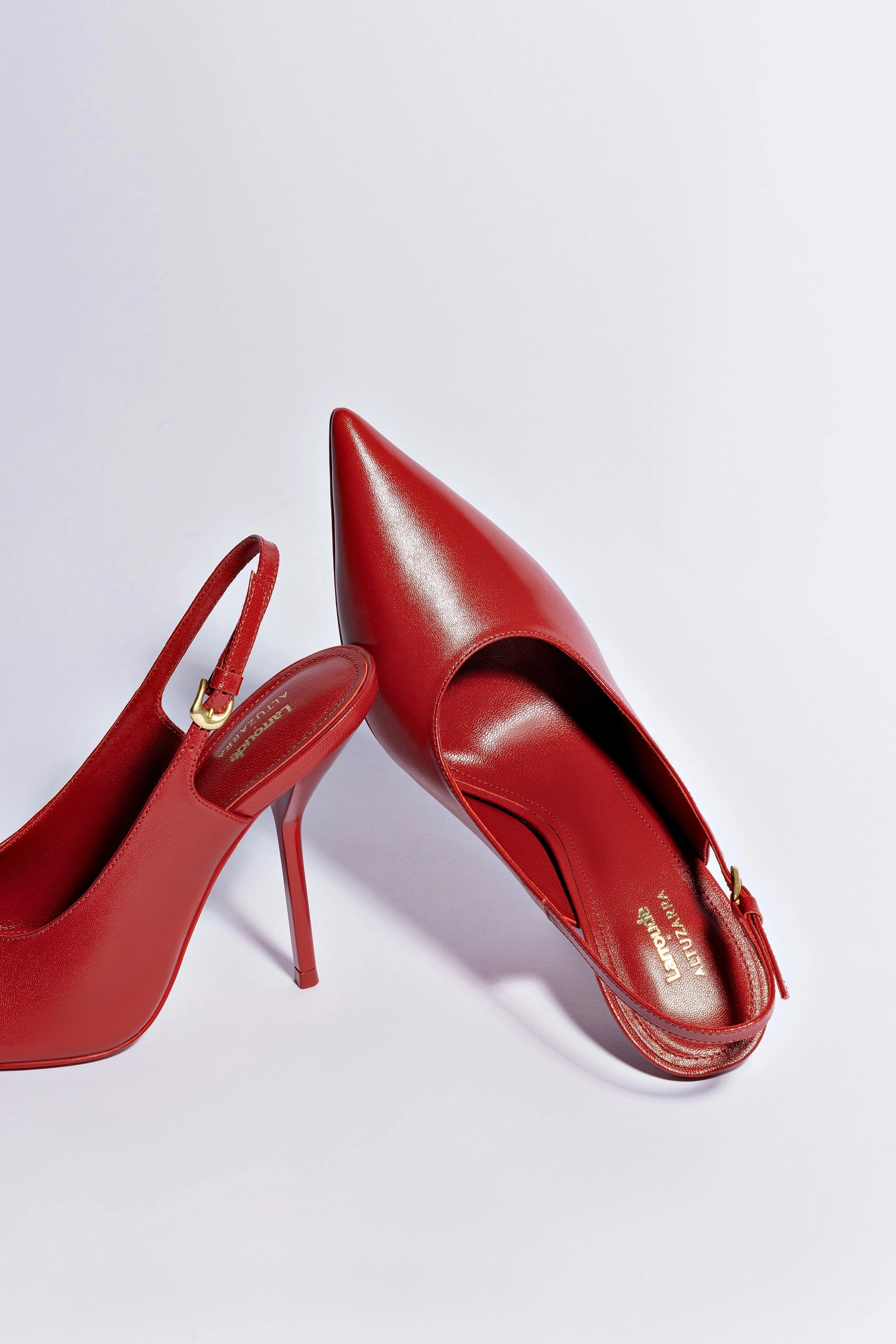 Climbing Shoe Pain Larroud x Altuzarra Pump In Blood Red Leather