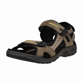 Trail Low Hiking Shoes Men's Offroad Yucatan Hiking Sandal - Tarmac/Moon Rock