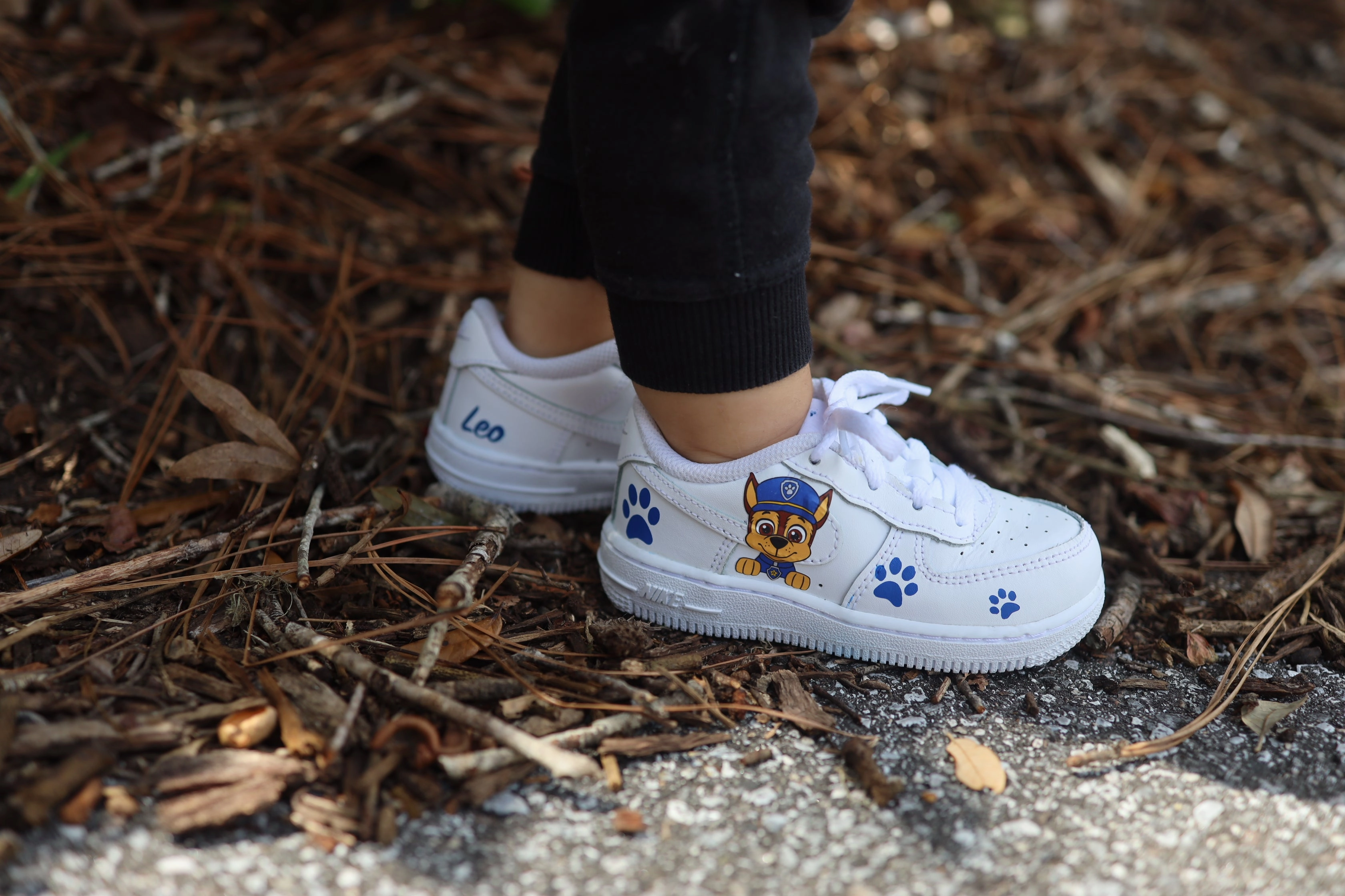 Paw Patrol Toddler Boy Air Force 1 Low Custom Kids Shoes Hand Painted AF1 Sneakers Nike Joyride Shoes